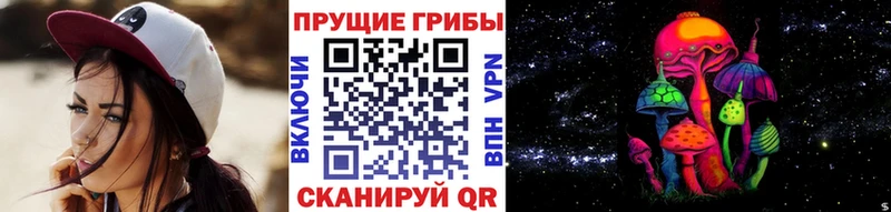 где продают   Новопавловск  omg сайт  Галлюциногенные грибы Cubensis 