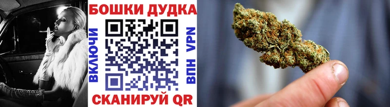 Каннабис индика Новопавловск